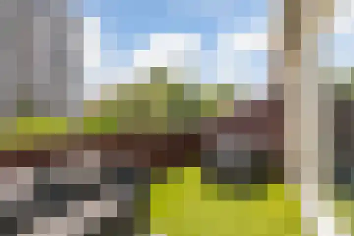 Olmenlaan 34 Ridderkerk thumbnail 28