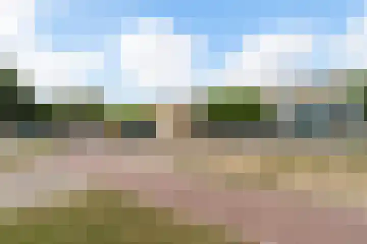 Olmenlaan 34 Ridderkerk thumbnail 29