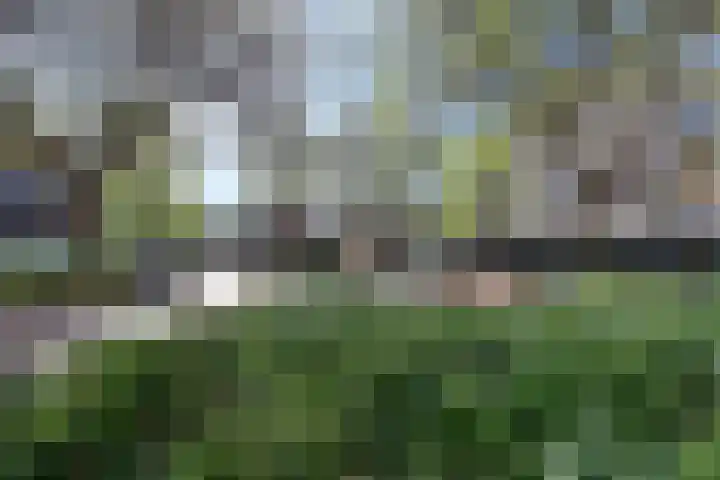 Olmenlaan 50 Bussum thumbnail 18
