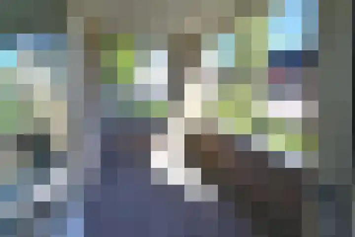 Olmenlaan 50 Bussum thumbnail 6