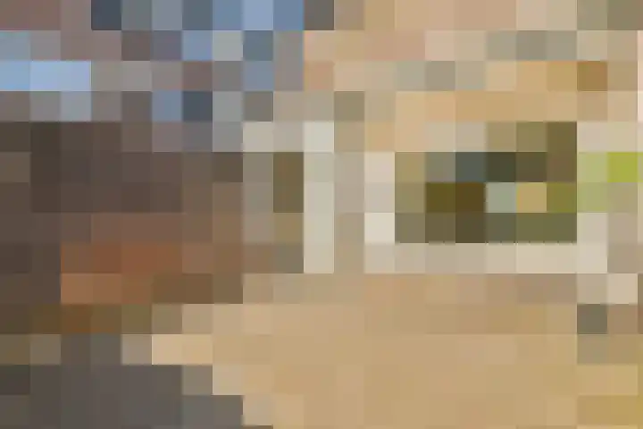 Olmenlaan 50 Zwanenburg thumbnail 13