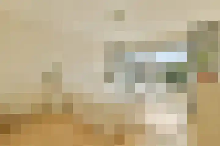 Olmenlaan 50 Zwanenburg thumbnail 17