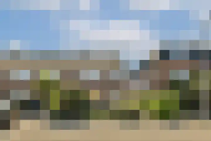 Olmenlaan 50 Zwanenburg thumbnail 30