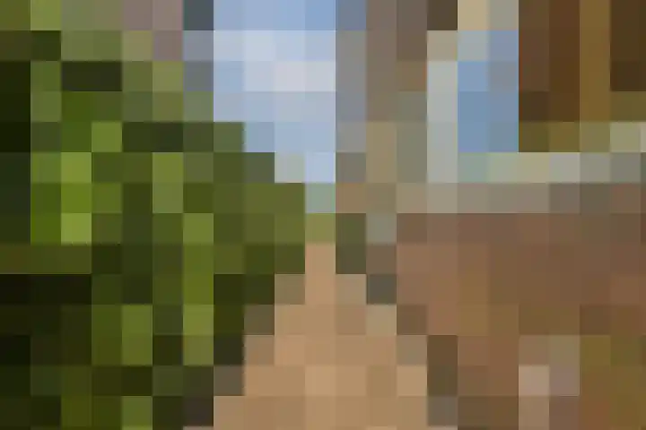 Olmenlaan 50 Zwanenburg thumbnail 6