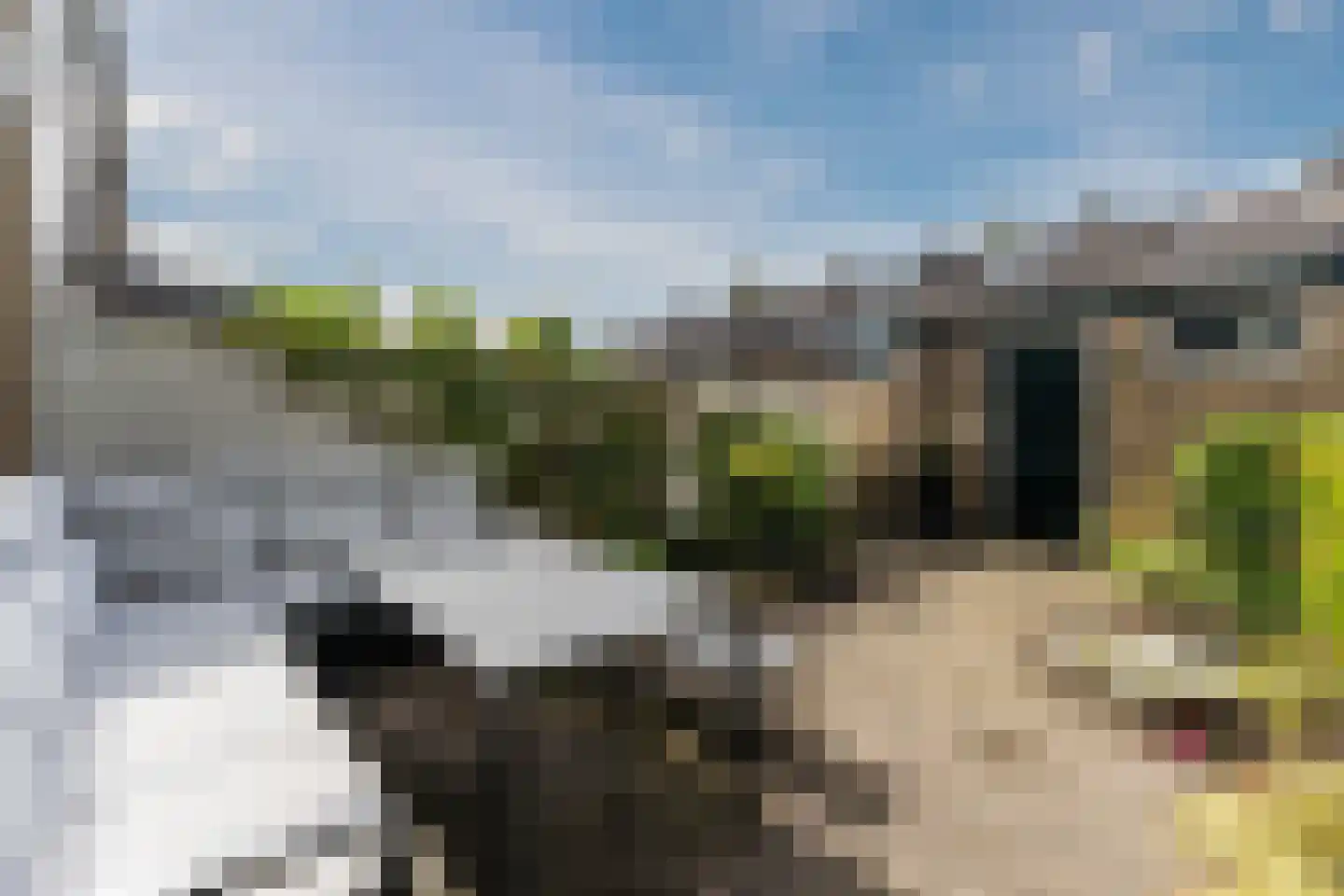 Olmenlaan 9 Nijkerk thumbnail 30