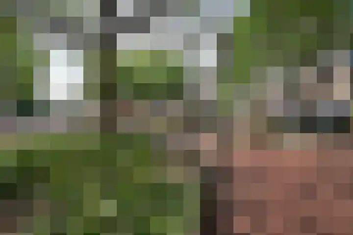Olmenlaan 92 Bussum thumbnail 14