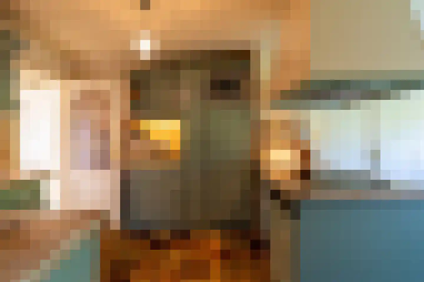 Olmenpad 1 Waspik thumbnail 14