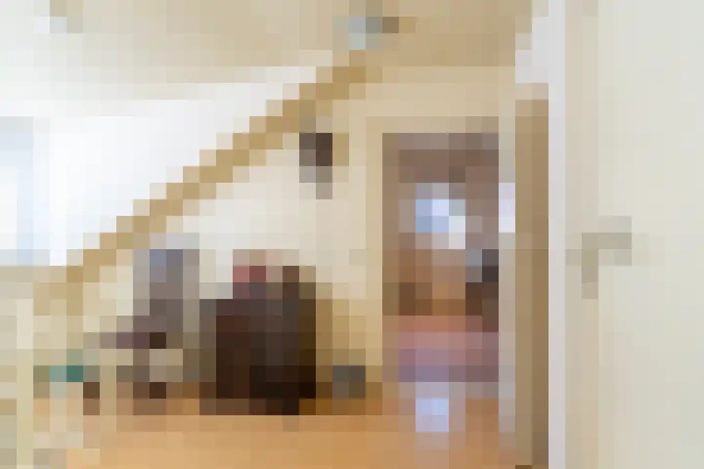 Olmenpad 1 Waspik thumbnail 29