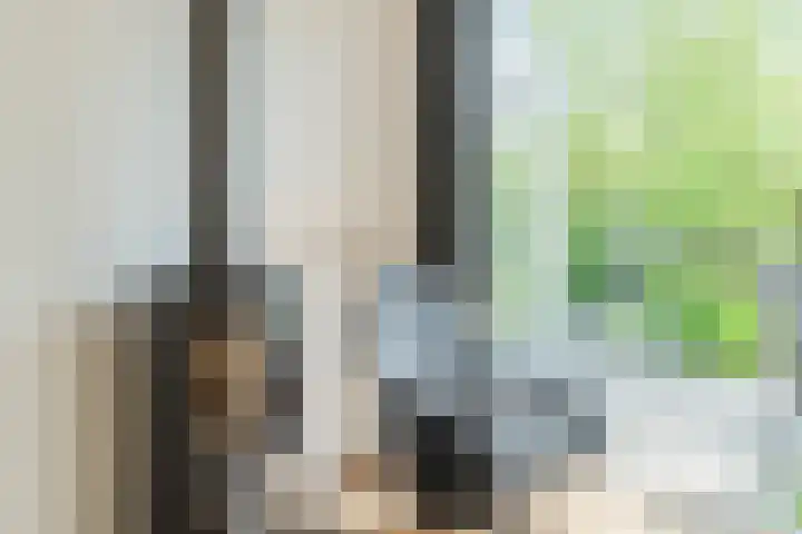 Olmenpad 21 Oisterwijk thumbnail 12