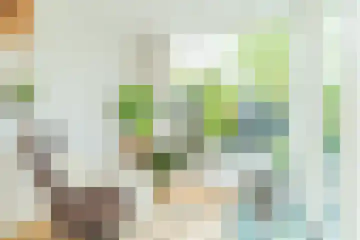 Olmenpad 21 Oisterwijk thumbnail 20