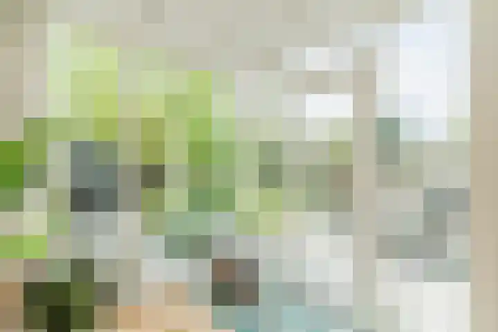 Olmenpad 21 Oisterwijk thumbnail 21