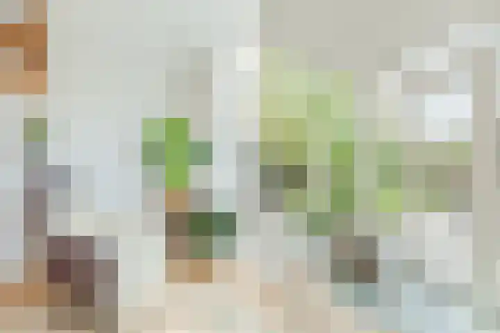 Olmenpad 21 Oisterwijk thumbnail 22