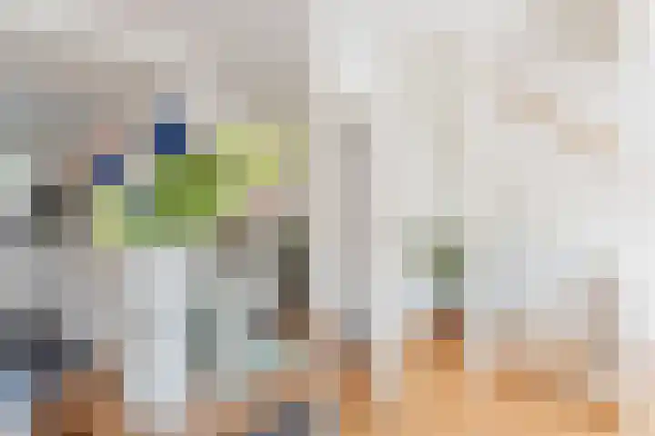 Olmenpad 21 Oisterwijk thumbnail 23