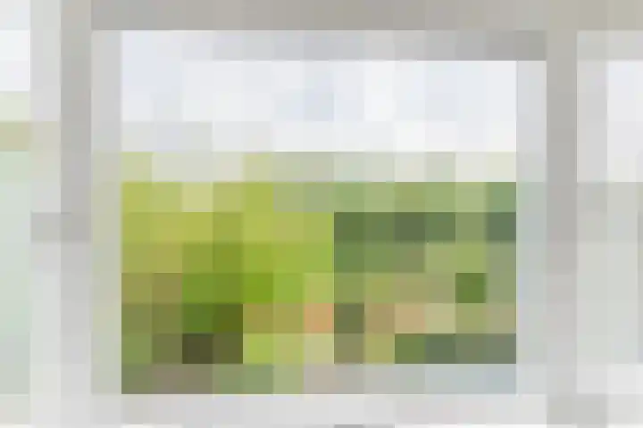 Olmenpad 21 Oisterwijk thumbnail 28