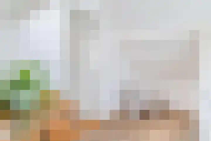 Olmenpad 21 Oisterwijk thumbnail 34