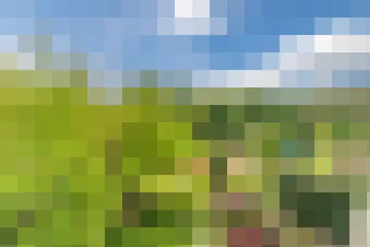 Olmenpad 21 Oisterwijk thumbnail 35