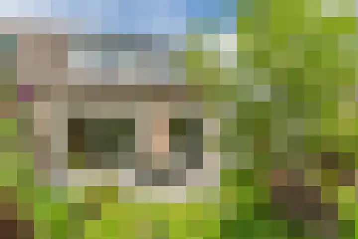 Olmenpad 21 Oisterwijk thumbnail 36
