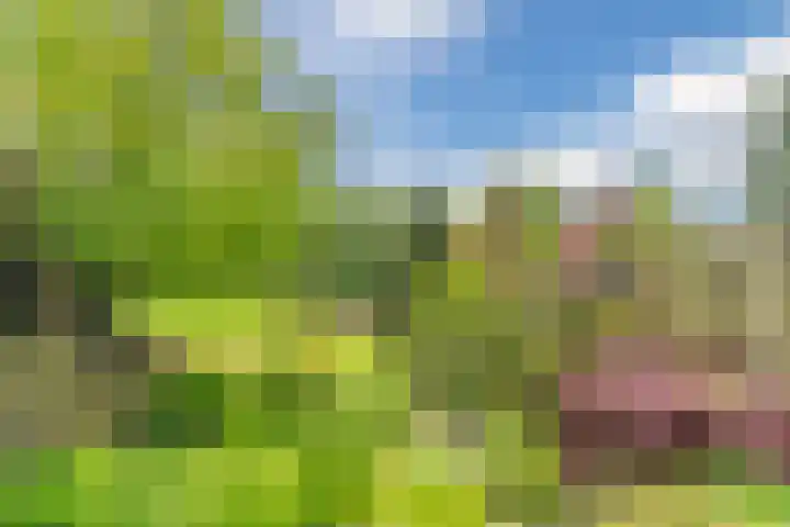 Olmenpad 21 Oisterwijk thumbnail 37