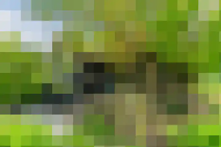 Olmenpad 21 Oisterwijk thumbnail 38