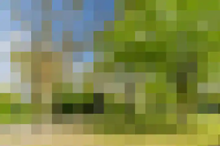 Olmenpad 21 Oisterwijk thumbnail 40