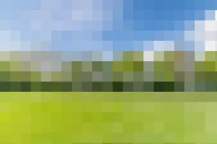 Olmenpad 21 Oisterwijk thumbnail 42