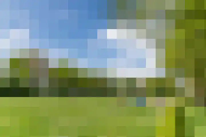 Olmenpad 21 Oisterwijk thumbnail 43
