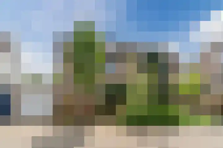 Olmenpad 21 Oisterwijk thumbnail 5