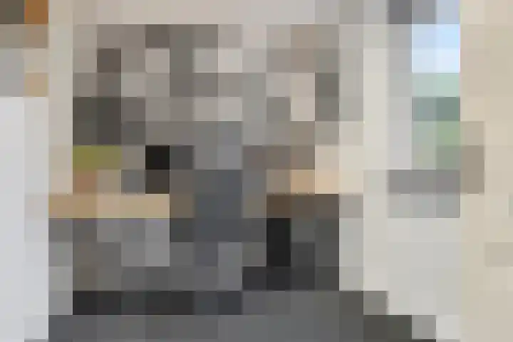 Olmenpad 31 Oisterwijk thumbnail 11