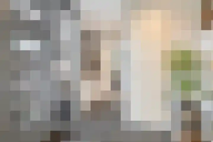 Olmenpad 31 Oisterwijk thumbnail 12