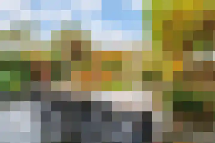 Olmenpad 31 Oisterwijk thumbnail 21