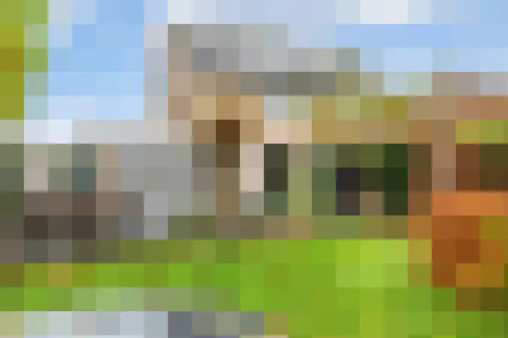 Olmenpad 31 Oisterwijk thumbnail 22