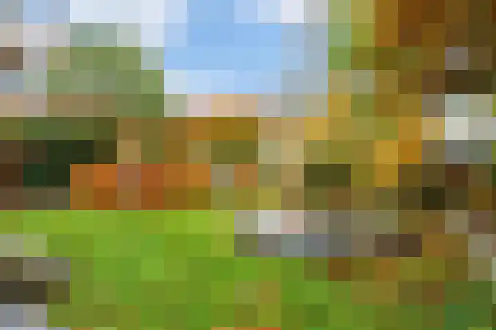 Olmenpad 31 Oisterwijk thumbnail 23