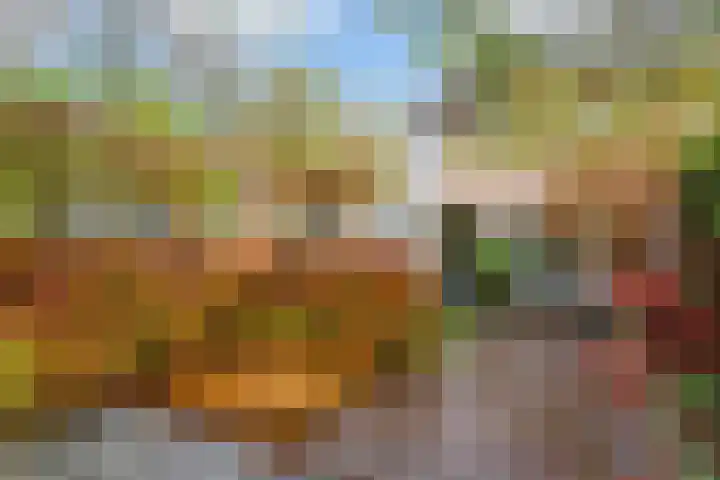 Olmenpad 31 Oisterwijk thumbnail 24