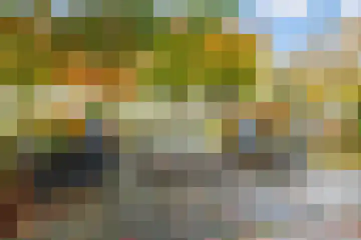Olmenpad 31 Oisterwijk thumbnail 25