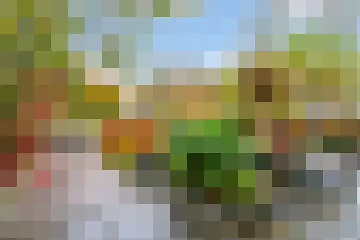 Olmenpad 31 Oisterwijk thumbnail 26