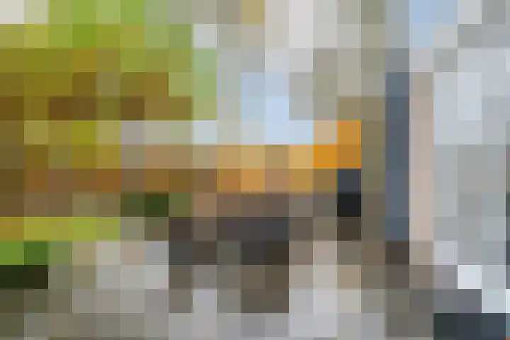 Olmenpad 31 Oisterwijk thumbnail 27