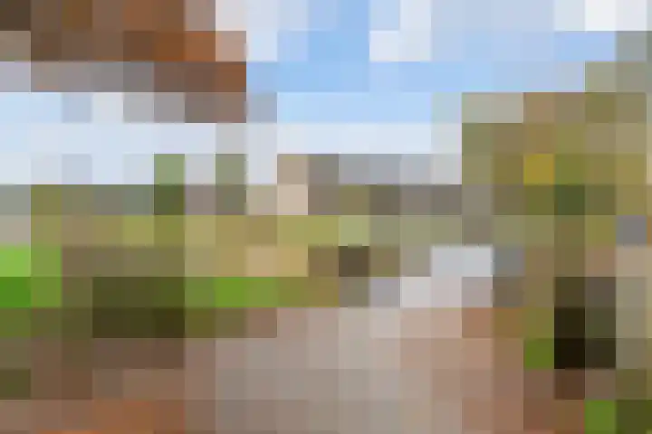 Olmenpad 31 Oisterwijk thumbnail 28