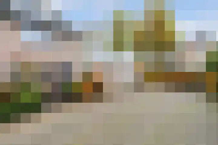 Olmenpad 31 Oisterwijk thumbnail 29