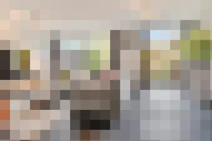 Olmenpad 31 Oisterwijk thumbnail 5