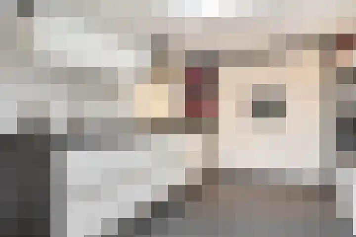 Olmenpad 31 Oisterwijk thumbnail 7