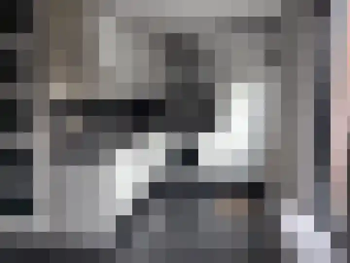 Olmenpad 6 Made thumbnail 4