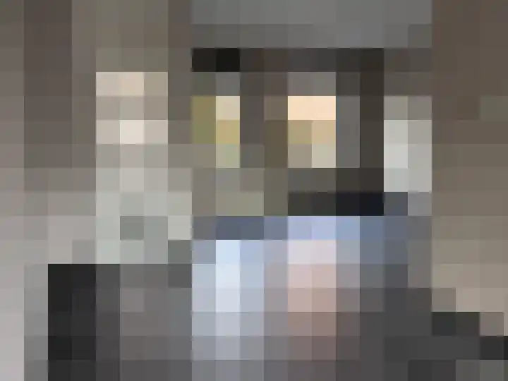 Olmenpad 6 Made thumbnail 5