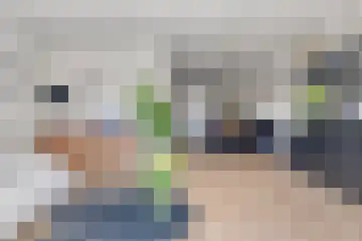 Olmenpad 8 Made thumbnail 10