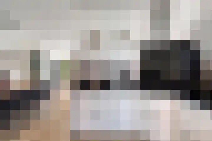 Olmenpad 8 Made thumbnail 14