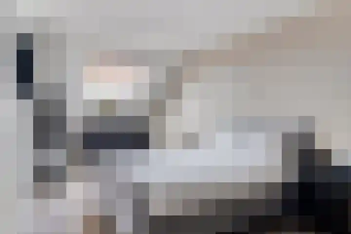 Olmenpad 8 Made thumbnail 19