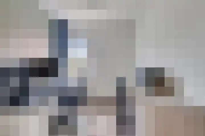 Olmenpad 8 Made thumbnail 24