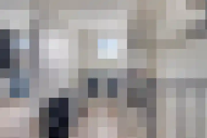 Olmenpad 8 Made thumbnail 29