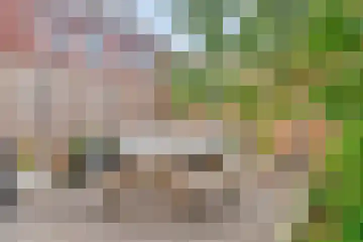 Olmenpad 8 Made thumbnail 34