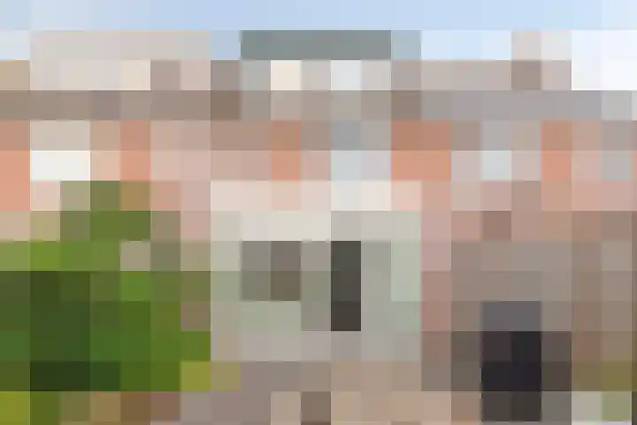 Olmenpad 8 Made thumbnail 35