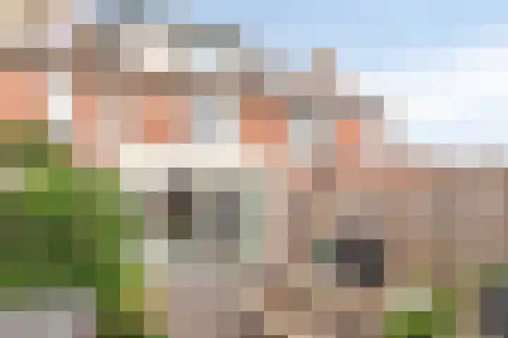 Olmenpad 8 Made thumbnail 36